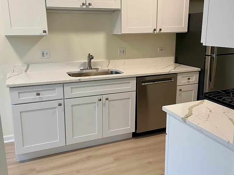 600 N Dearborn St #812 — Photo 7
