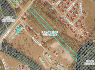 TRACT Us Highway 17 S #D, Holly Ridge, NC 28445