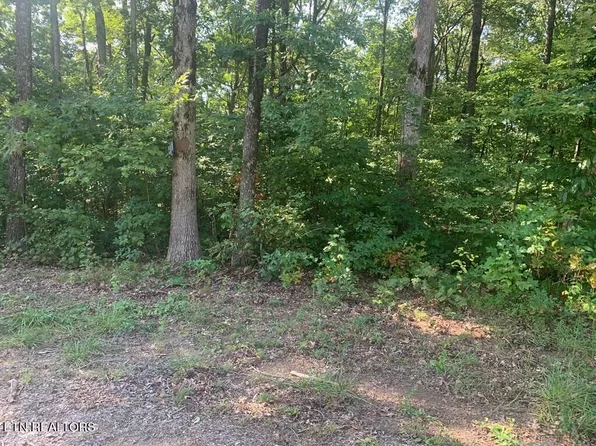 Evening Shade Ln, Graysville, TN 37338