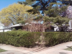 4th image of 169 Deepdale Pkwy