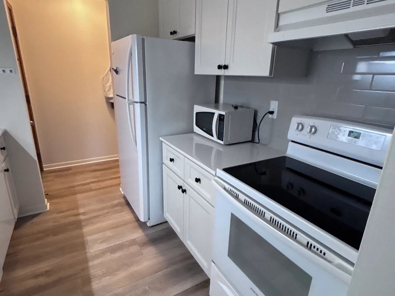 1 bed, 728 sqft, $1,200 — Photo 3