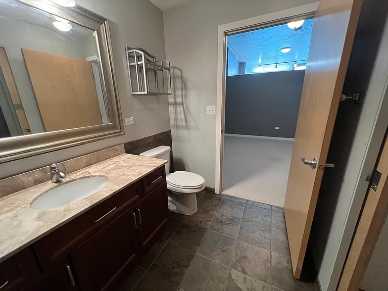 1720 S Michigan Ave #705 — Photo 25