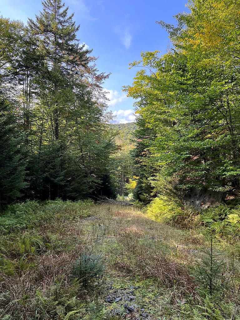 0 N Point Rd, Long Lake, NY 12847 Zillow