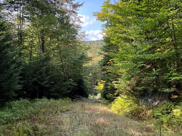 0 N Point Rd, Long Lake, NY 12847