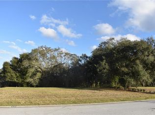 30126 Bretton Loop, Mount Dora, FL 32757