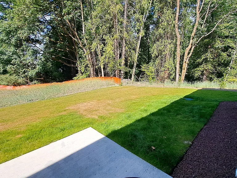 3113 E Camellia Way — Photo 42