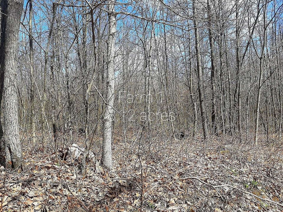2nd image of 2764 Dotson Ridge Rd