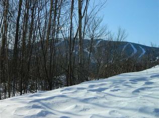 3 Mammoth Ln, Newry, ME 04261