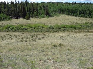 195 Bluestem, Fairplay, CO 80440