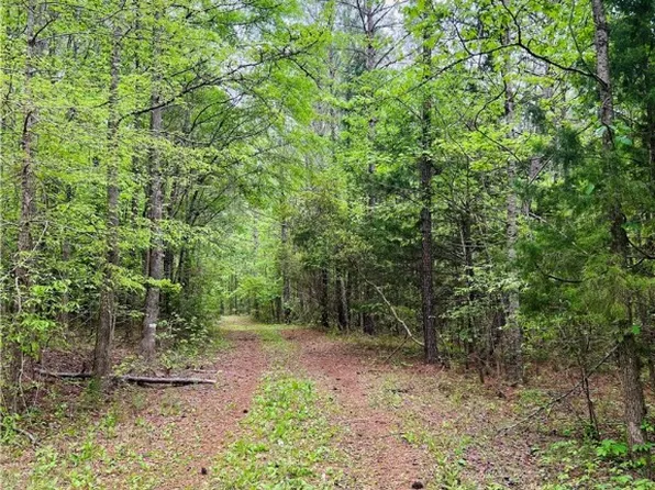 0 County Road 23, Lafayette, AL 36862