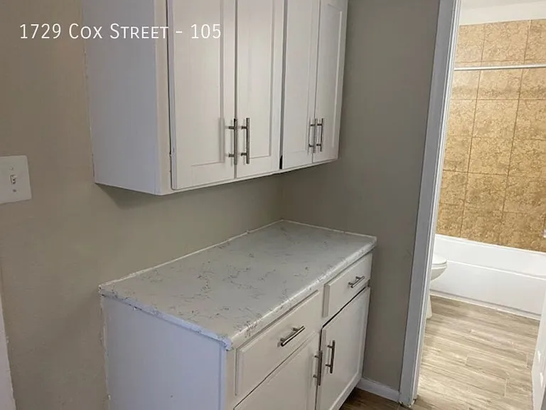 1729 Cox St — Photo 667