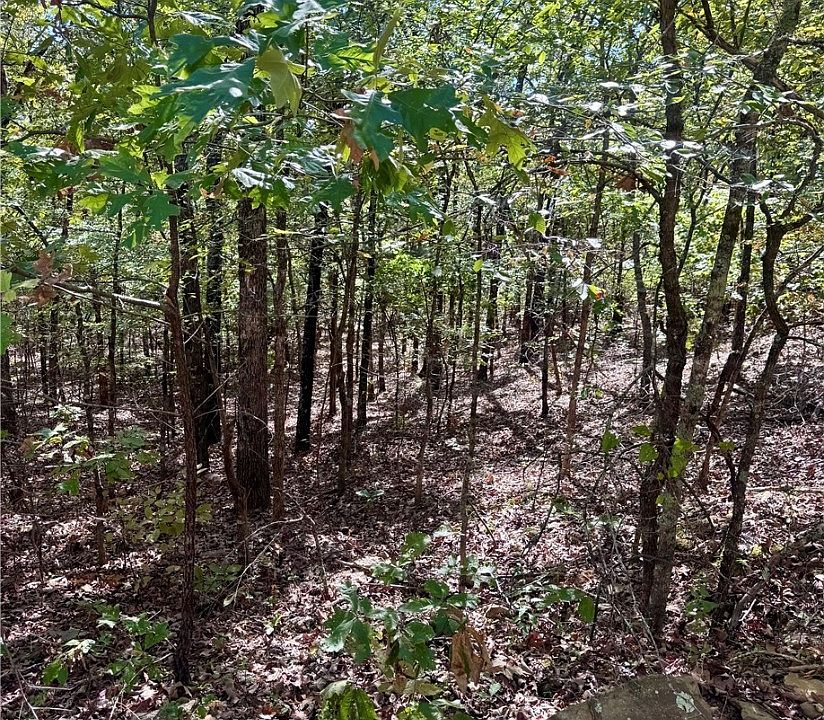 2nd image of E 1017th Rd