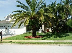 1st image of 2526 Canary Isles Dr