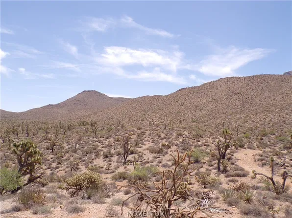 328-02-386 N Red Lake Drive, Dolan Springs, AZ 86441