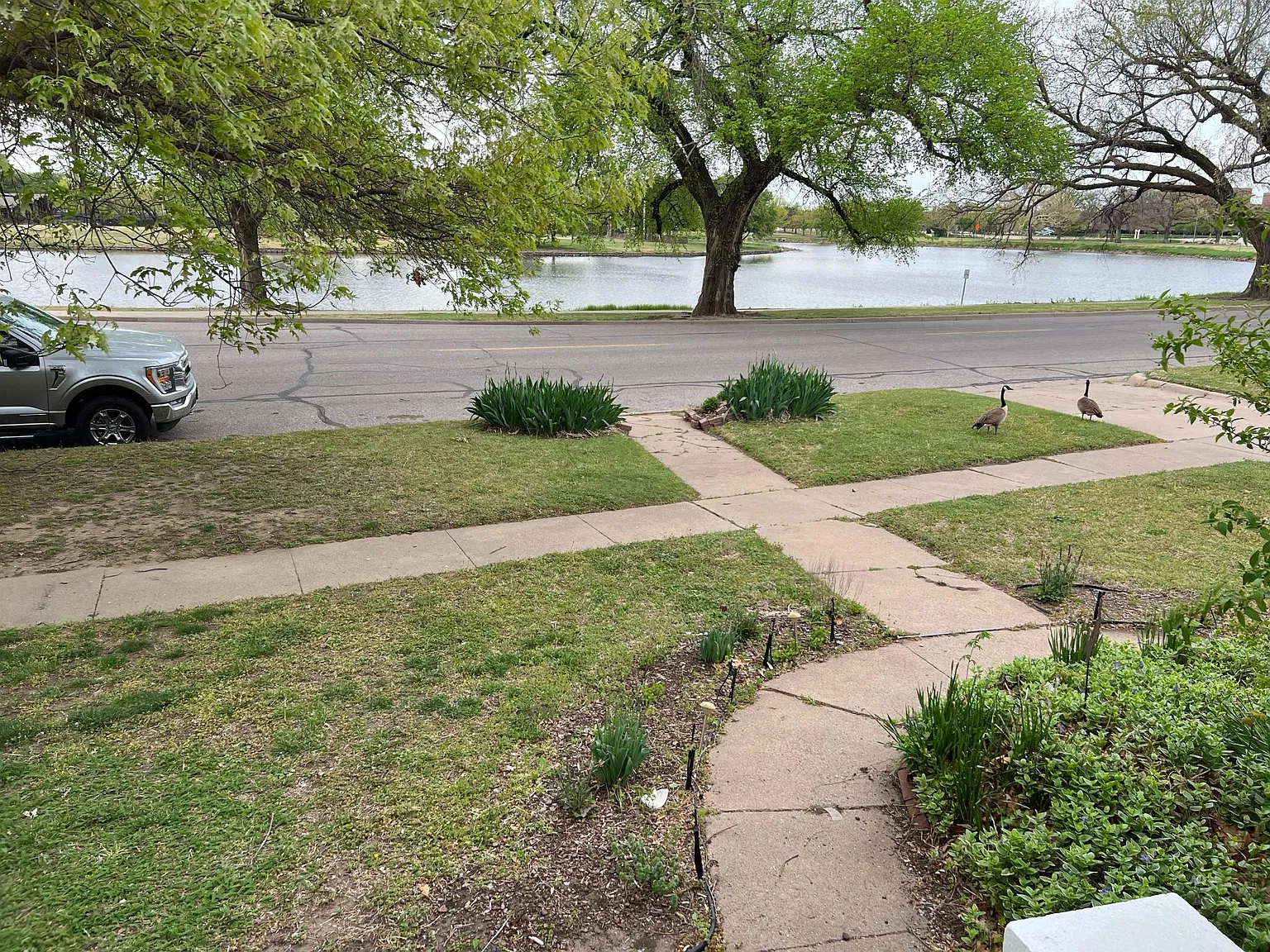 2 bed, 1.5 bath, 1100 sqft, $1,295 — Photo 2