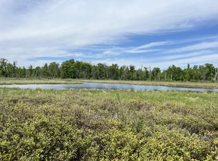 13384 Sorenson Lake Rd, Merrifield, MN 56465
