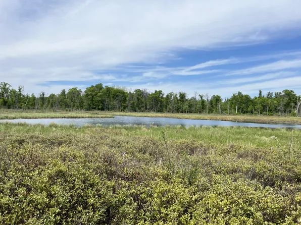 13384 Sorenson Lake Rd, Merrifield, MN 56465