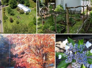 614 Upper Doe Bag Rd, Green Mountain, NC 28740