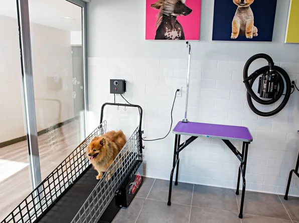 100 Willoughby Street image 42 of 43