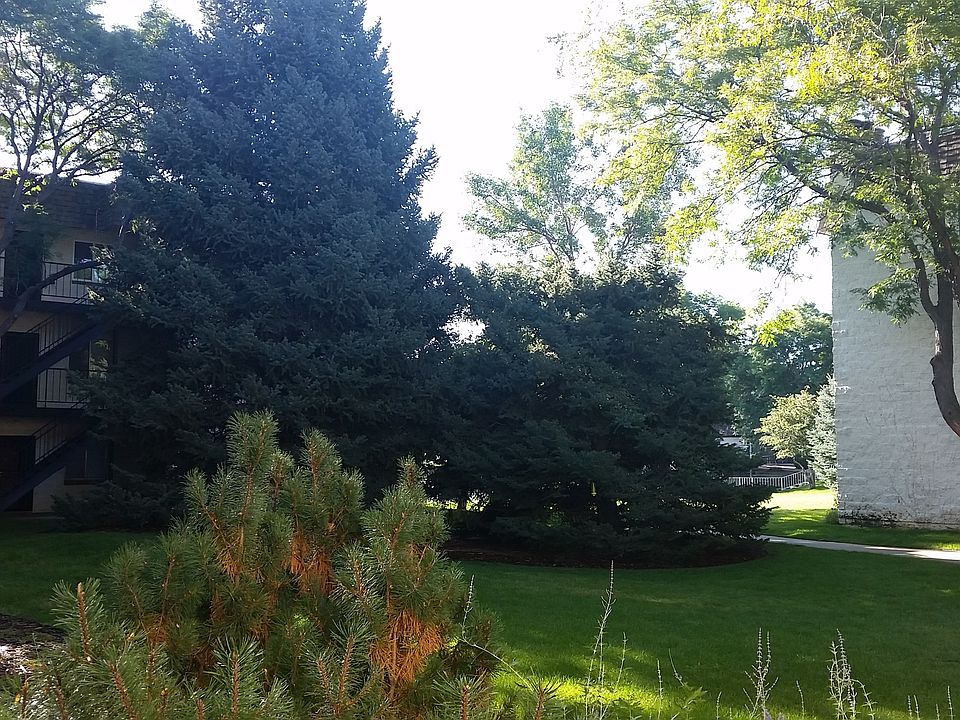 Tree Lined Community