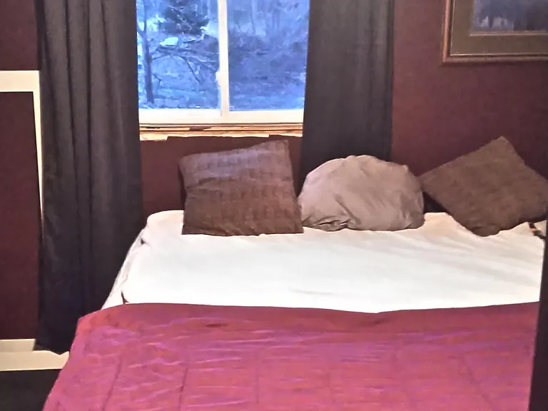 3115 Wildbriar Ln — Photo 13