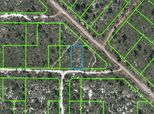 582 Louisiana Ave, Lake Placid, FL 33852