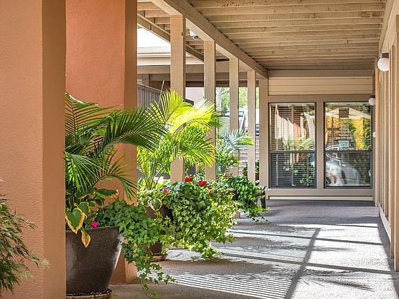 2nd image of 941 Calle Mejia APT 819