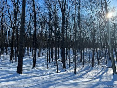 0 Timberidge Ct Lot 1, Brighton, MI, 48116