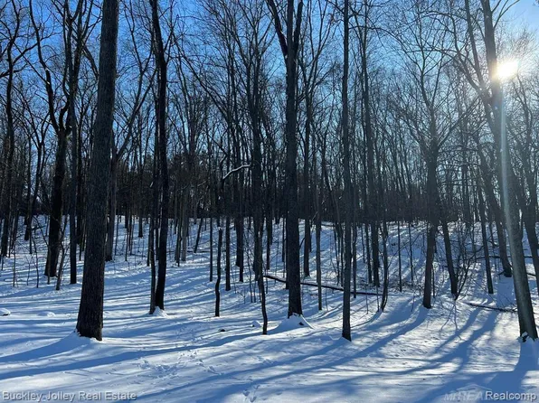 0 Timberidge Ct Lot 1, Brighton, MI 48116