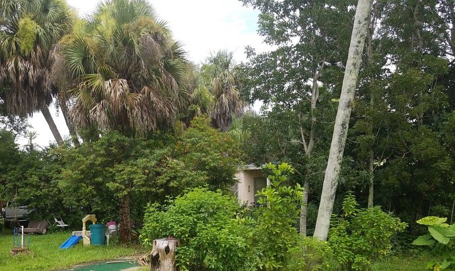 2nd image of 1255 Monica Ln