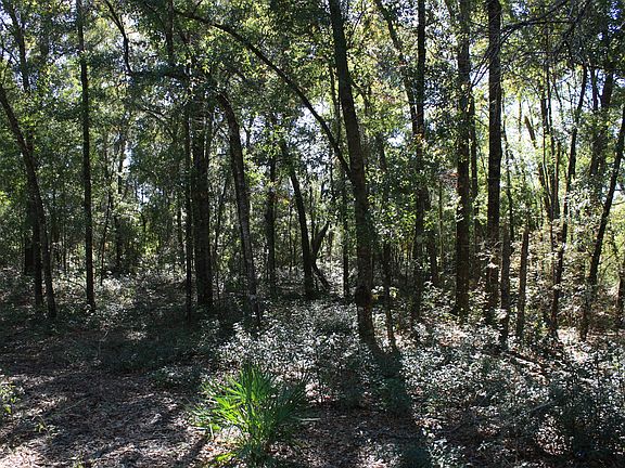 5th image of Lot 32