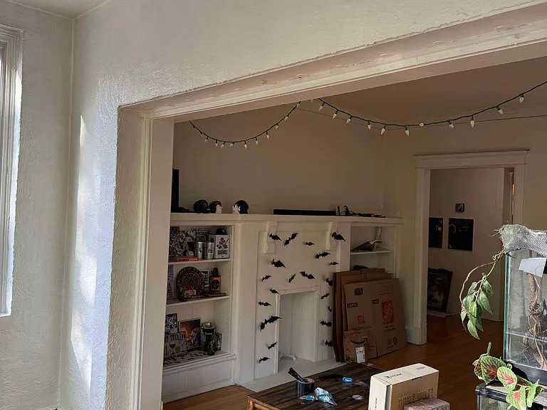 3623 N Pine Grove Ave #2W — Photo 4
