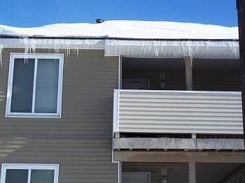 2nd image of 205 Bunting Ln