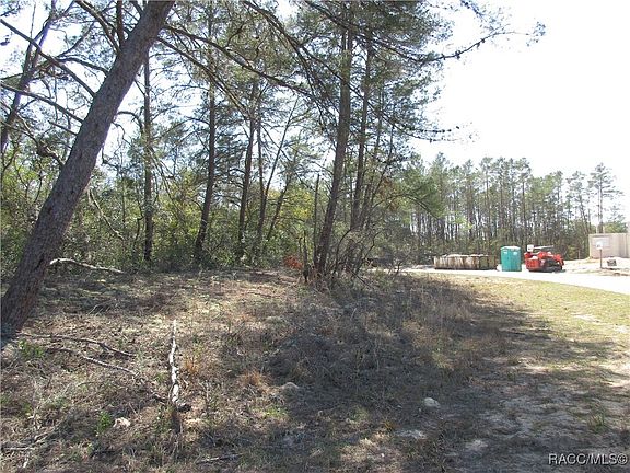 5th image of 4381 W Malaluka Cir
