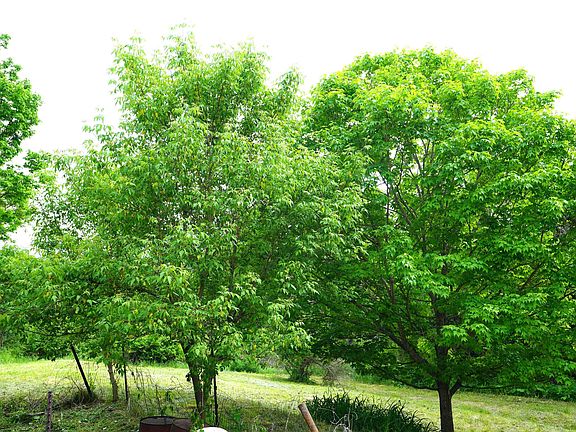 3rd image of 579 Gallison Hill Road Lot A