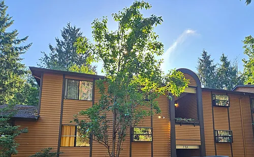 Forest Creek Photo 1