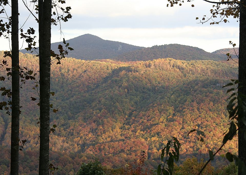 1st image of LOT 27 Bald Eagle Dr