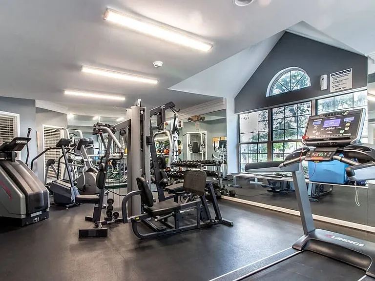 Plenty of Weights & Equipment
