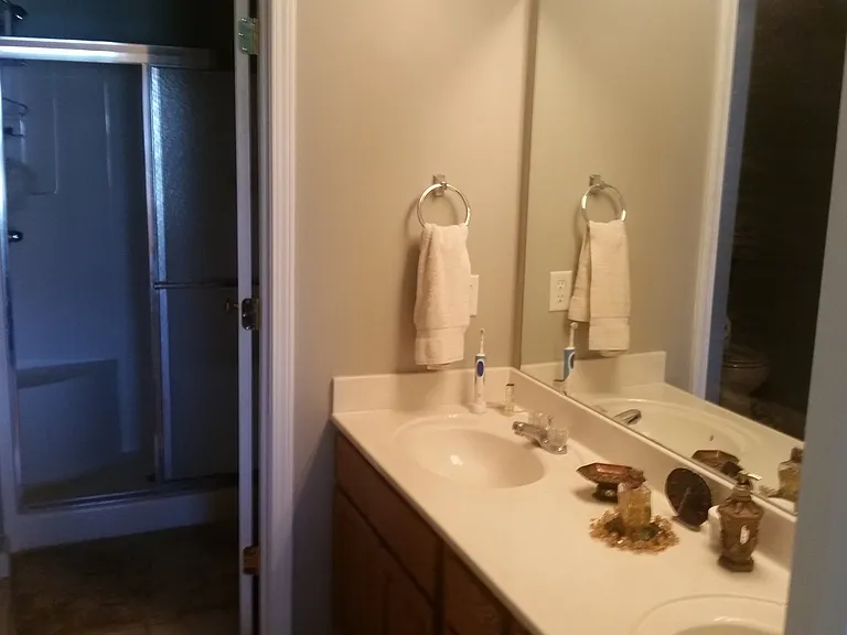 Vanity view to walk in shower