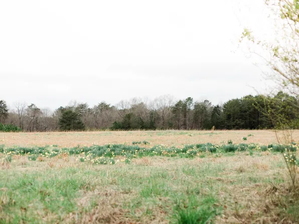 535 Nix Rd, Carbon Hill, AL 35549