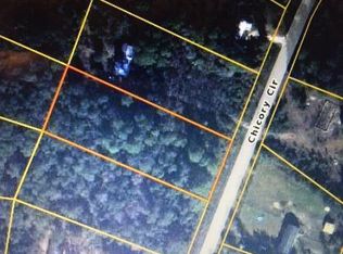 5151 Chicory Cir, Middleburg, FL 32068