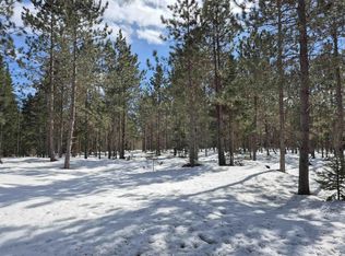 20 Acres Off, Manistique, MI 49854