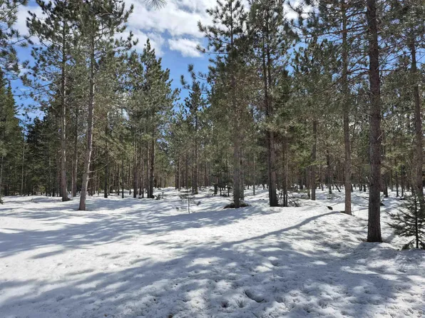 20 Acres Off, Manistique, MI 49854