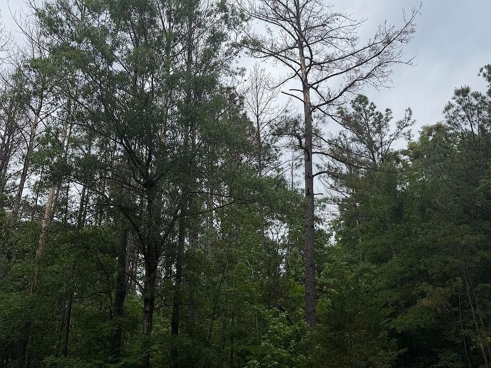 1st image of Pine Valley Dr