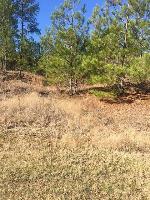 2nd image of 374 Driftwood Rd