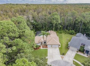 3105 Roxmere Dr, Palm Harbor, FL 34685