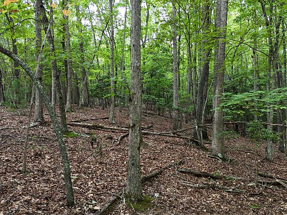 3rd image of Carter Ln Lot 17