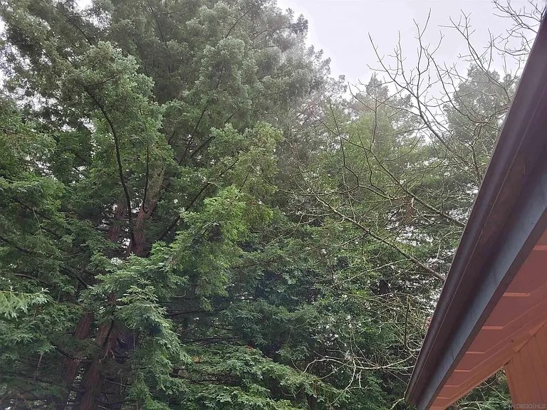 16885 Laurel Rd — Photo 34