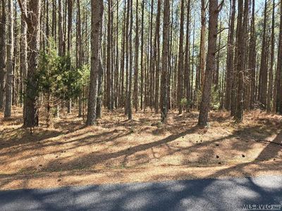 84 Granite Hall Dr, Boydton, VA, 23917