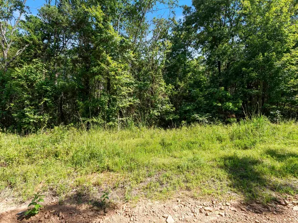 650 Little Fox Rd, Shirley, AR 72153